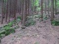 Sok zöld kő Sok zöld kő